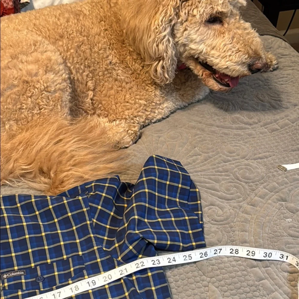 Columbia Blue and Yellow Casual Button Down Shirt - Picture 9 of 11